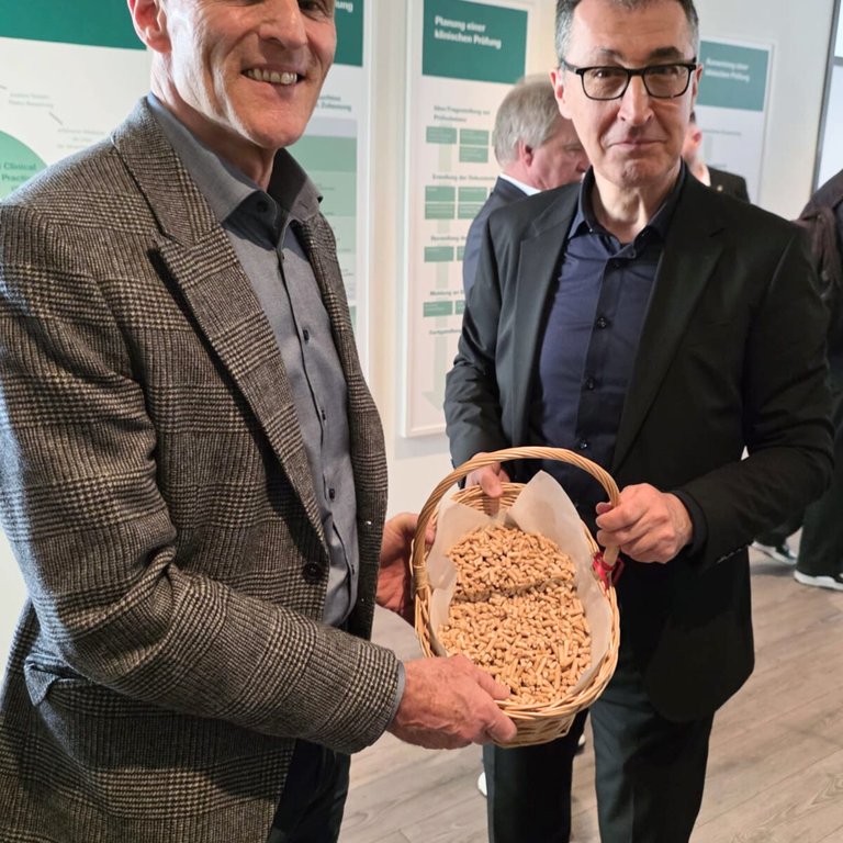 In Baden-Württemberg stehen die Grünen zur Holzenergie