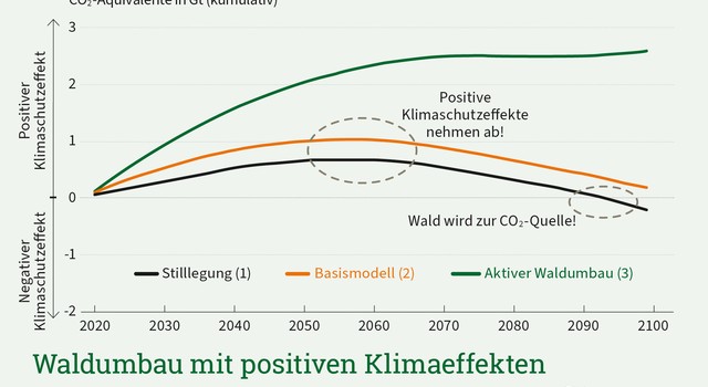 https://media.depi.de/filer_public_thumbnails/filer_public/12/a7/12a778fe-f58f-46bd-87e0-17f05548a2c1/depi_waldumbau-positiveklimaeffekte.jpg__640x350_q90_crop-smart_subject_location-945%2C657_subsampling-2.jpg