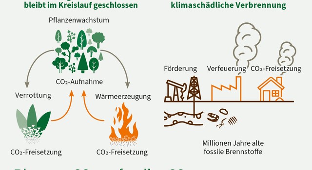 Biogenes CO2 vs. fossiles CO2