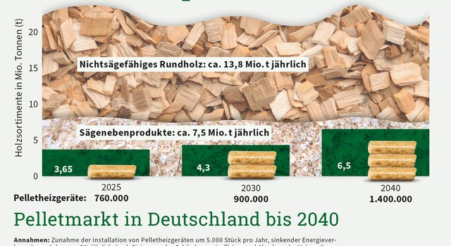 Pelletmarkt in Deutschland bis 2040