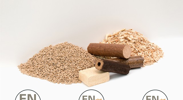 https://media.depi.de/filer_public_thumbnails/filer_public/35/be/35bead85-5049-4d44-bd50-7896bbc477bd/enplus-zertifizierte-holzbrennstoffe-pellets-briketts-und-hackschnitzel.jpg__640x350_q90_crop-smart_subsampling-2.jpg