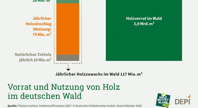 https://media.depi.de/filer_public_thumbnails/filer_public/36/41/36412857-8329-4f6c-b11e-97ffb61084b7/depi_holzvorrat_nutzung_201014_einfach.jpg__640x350_q90_crop-smart_subsampling-2.jpg