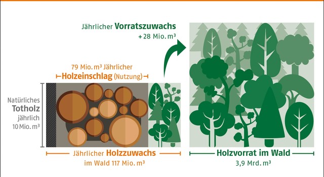 Vorrat und Nutzung von Holz