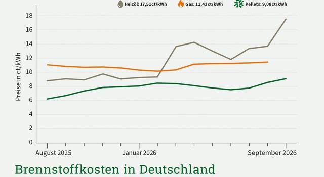 Die Grafik zeigt die Brennstoffkosten in Deutschland im Zeitraum von 13 Monaten