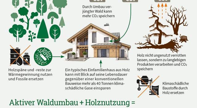 Aktiver Waldumbau+Holznutzung= Klimaschutz hoch vier!