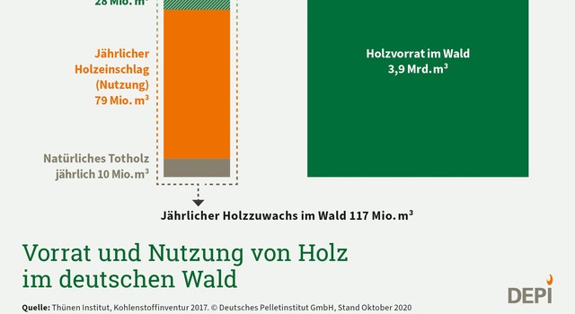 Vorrat und Nutzung von Holz
