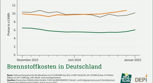 https://media.depi.de/filer_public_thumbnails/filer_public/6d/c6/6dc6a70a-cbb8-4575-b6e6-4b6a82257235/tmpbrennstoffkosten-in-deutschland-januar-2025.jpg__640x350_q90_crop-smart_subsampling-2.jpg