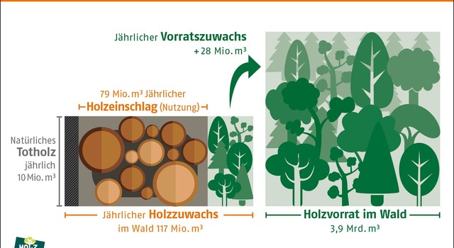 Vorrat und Nutzung von Holz