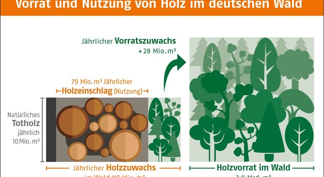 https://media.depi.de/filer_public_thumbnails/filer_public/73/f5/73f593b4-de3c-479a-8448-a168ab91af59/tmpvorrat-und-nutzung-von-holz.jpg__640x350_q90_crop-smart_subsampling-2.jpg