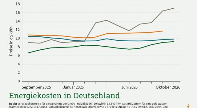 Zu sehen sind die Energiekosten von Heizöl, Erdgas, Wärmepumpenstrom und Pellets in Cent pro Kilowattstunde.