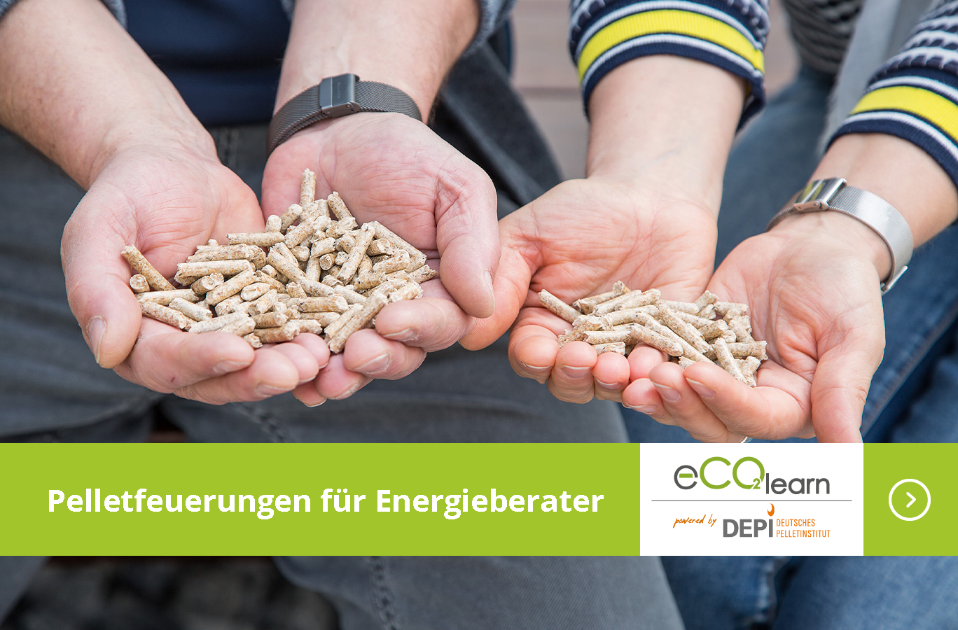 Titelbild von "Pelletfeuerungen für Energieberater".