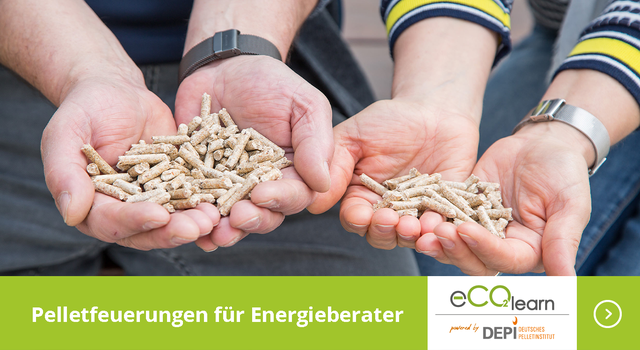 https://media.depi.de/filer_public_thumbnails/filer_public/7c/39/7c39c11e-7c6e-4b77-9547-03b41e180a50/titelbild_depi_energieberater_2.png__640x350_crop-smart_subject_location-630%2C417_subsampling-2.png