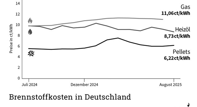 DEPI Brennstoffkosten in Deutschland (schwarz-weiß) August 2025