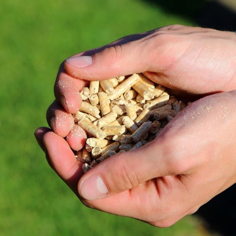 DEPI Pellets In Den H nden