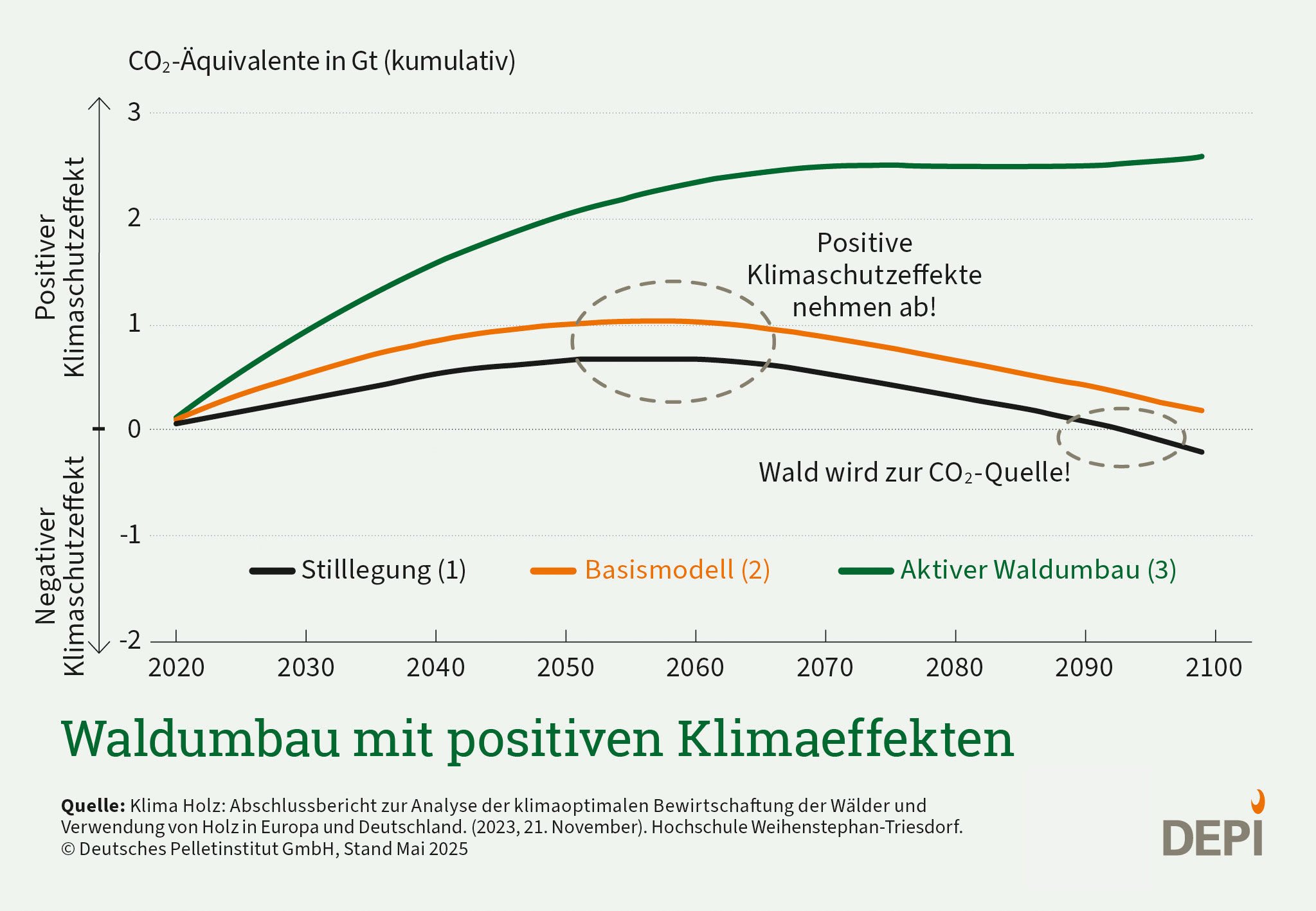 Zu sehen ist eine Grafik, die die Effekte unterschiedlicher Strategien für den Waldumbau zeigt, Eine Waldstilllegung würde den Wald irgendwann zur CO2-Quelle machen. Bei aktivem Waldumbau würden die positiven Klimaschutzeffekte immer weiter steigen.