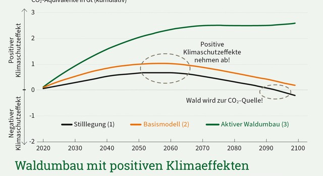 Zu sehen ist eine Grafik, die die Effekte unterschiedlicher Strategien für den Waldumbau zeigt, Eine Waldstilllegung würde den Wald irgendwann zur CO2-Quelle machen. Bei aktivem Waldumbau würden die positiven Klimaschutzeffekte immer weiter steigen.