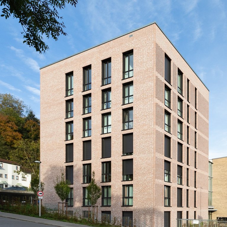 Mit Holz heizen im Neubau