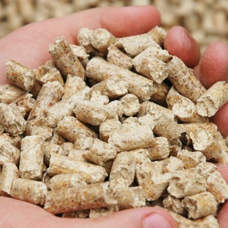 Holzpellets machen unabhängiger