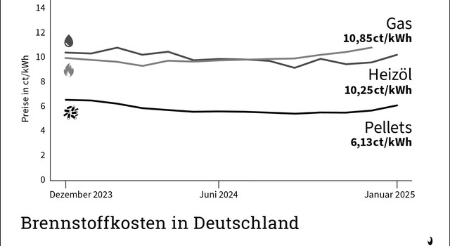 Brennstoffkosten in Deutschland (schwarz-weiß) - Januar 2025