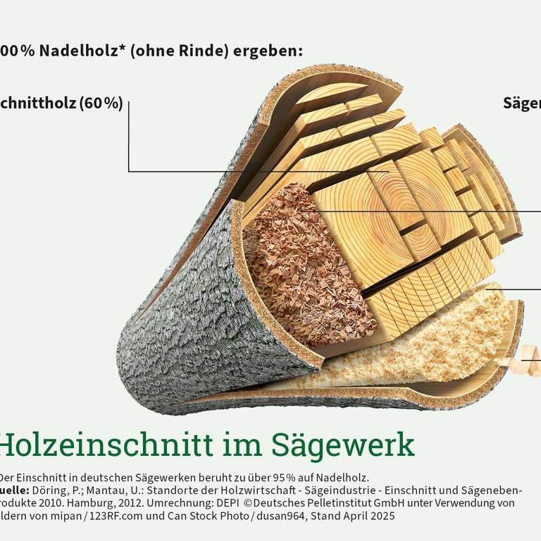 Holz leistet einen wichtigen Beitrag zur Wärmewende