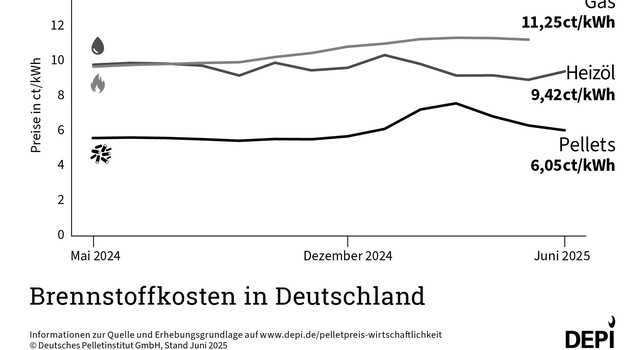 DEPI Brennstoffkosten in Deutschland (schwarz-weiß) Juni 2025
