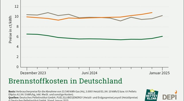 https://media.depi.de/filer_public_thumbnails/filer_public/92/81/9281ad81-077d-4817-9d53-abe0f5a9544d/depi_brennstoffkosten_januar_2025_02.jpg__640x350_q90_crop-smart_subsampling-2.jpg
