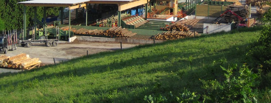Ein großes Sägewerk aus der Ferne fotografiert. Es sind viele bearbeitete Baumstämme zu erkennen.