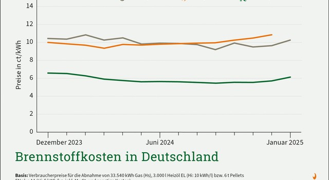 Brennstoffkosten in Deutschland - Januar 2025