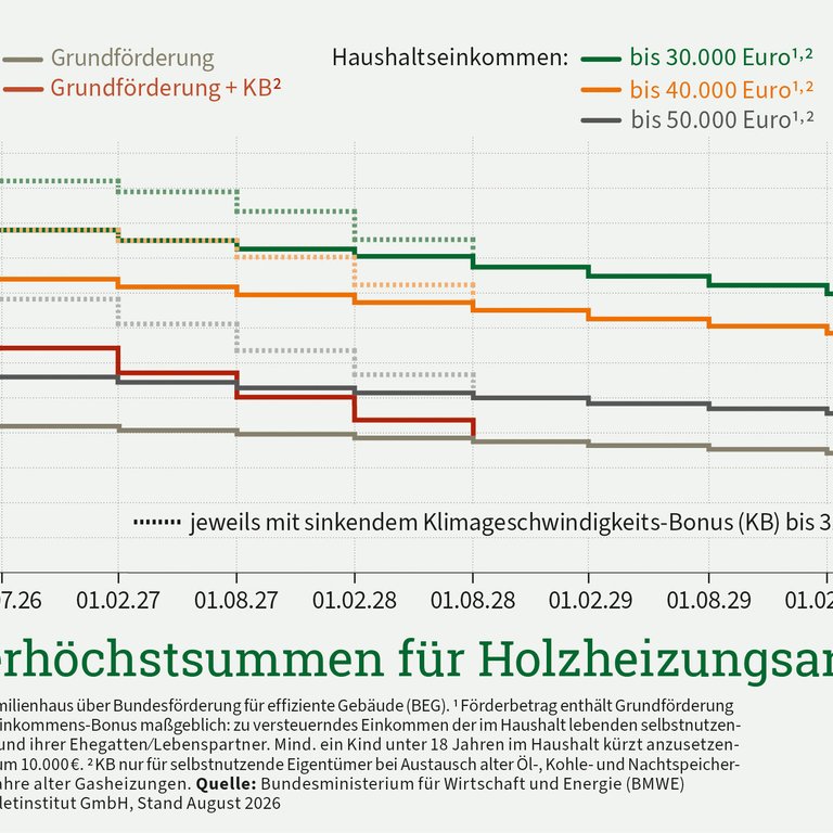Pelletheizung modernisieren: Jetzt noch volle Förderung sichern