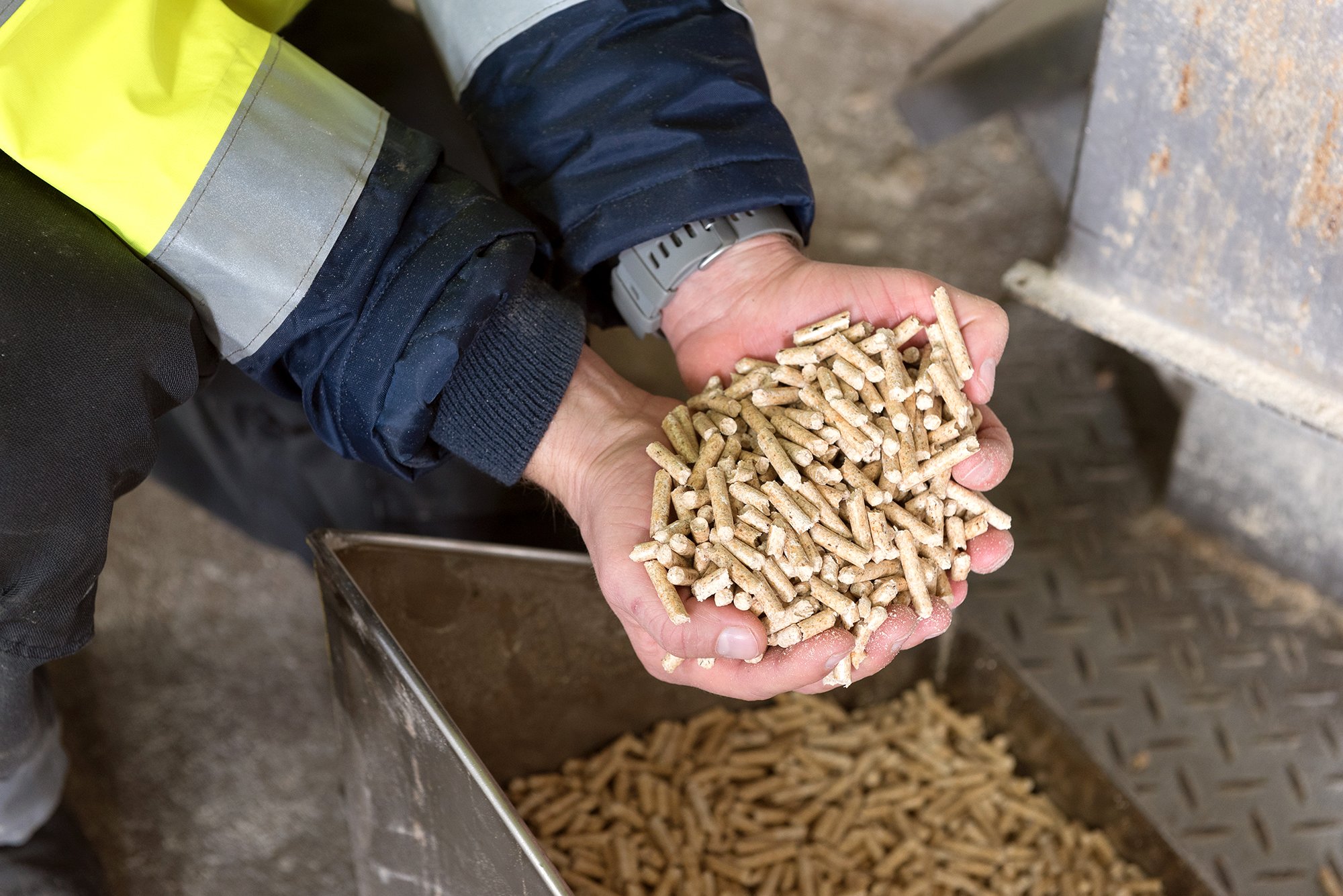 Ein Mensch hat beide Hände zu einer Schale geformt, und diese mit Pellets gefüllt.