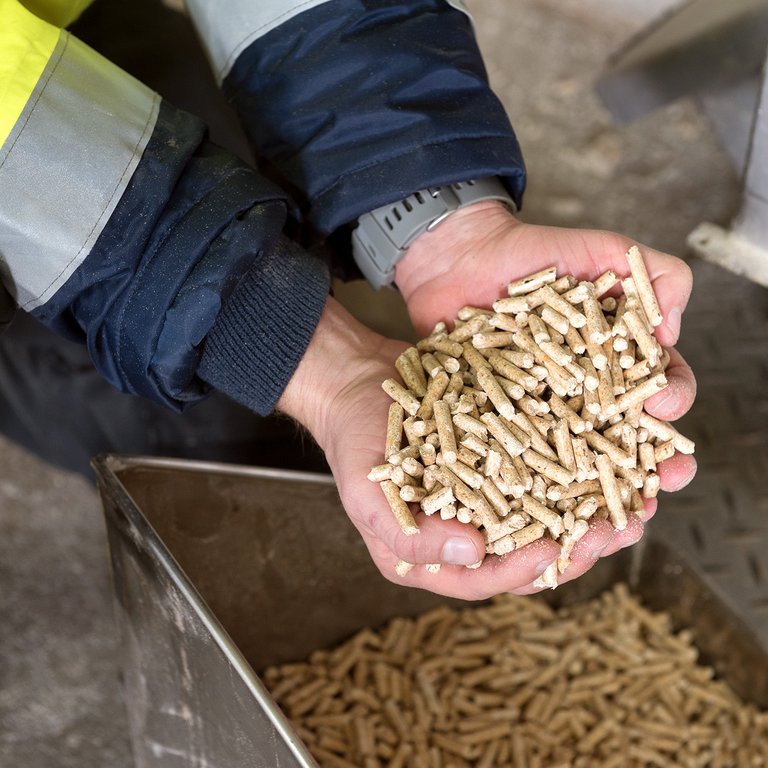 Vorratshaltung ist für viele ein Plus