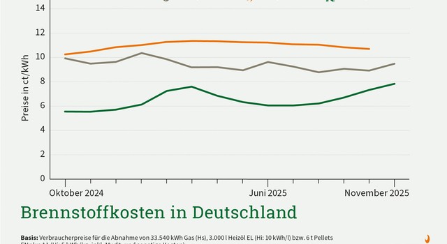 DEPI Brennstoffkosten in Deutschland November 2025