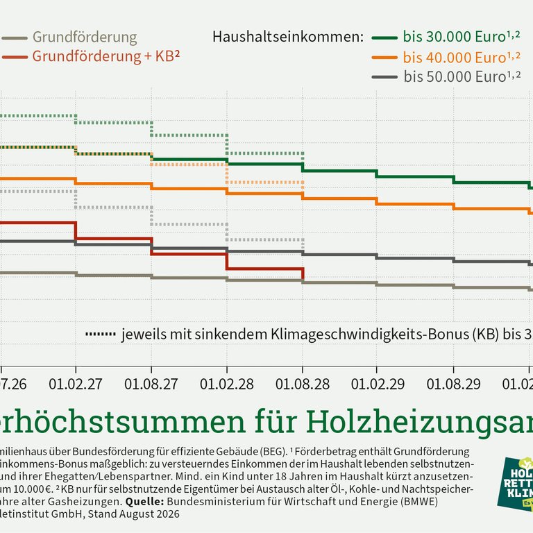 Pelletheizung modernisieren: Jetzt noch volle Förderung sichern