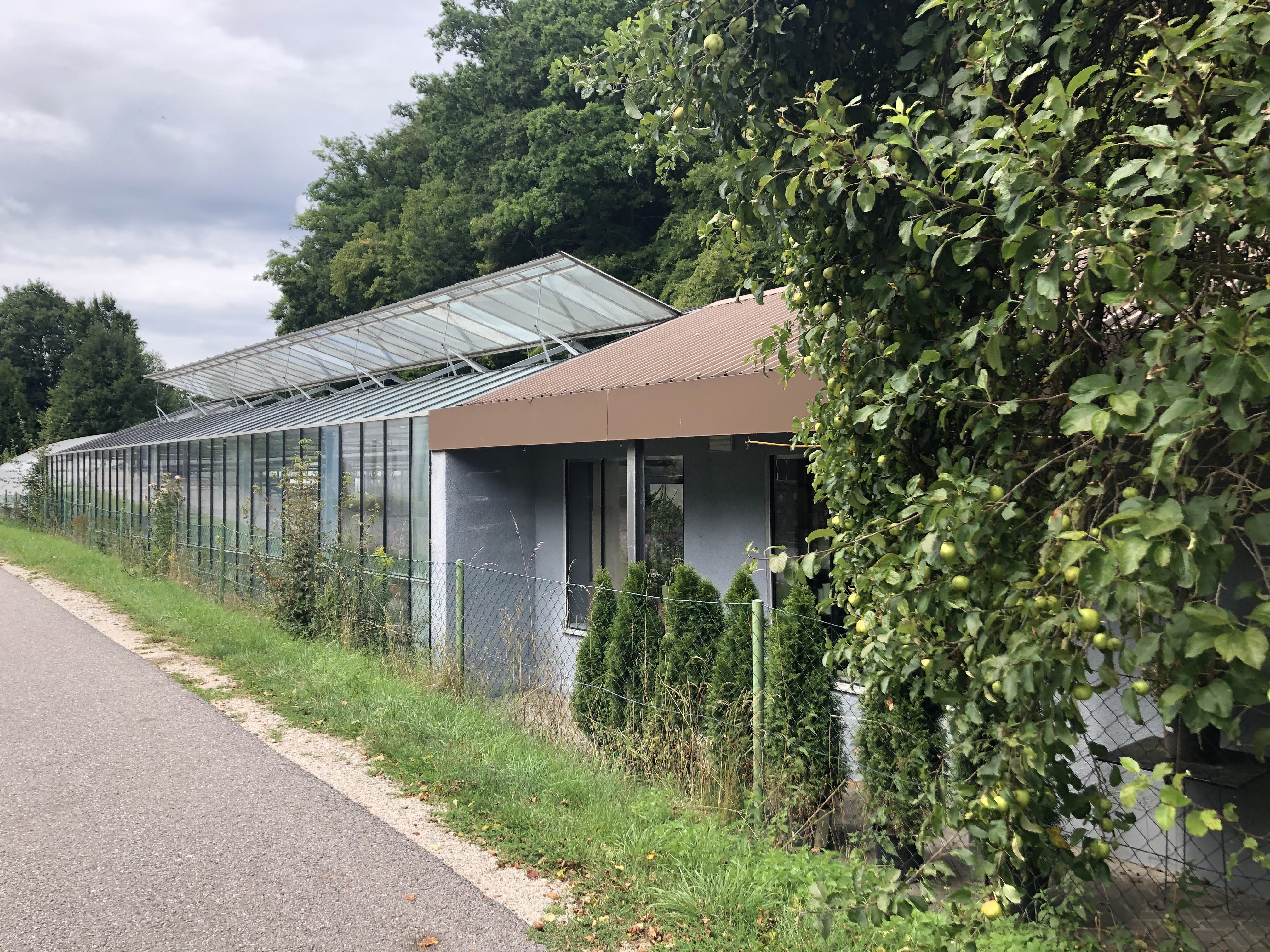 Ein Gewächshaus von außen. Es steht an einer Straße.