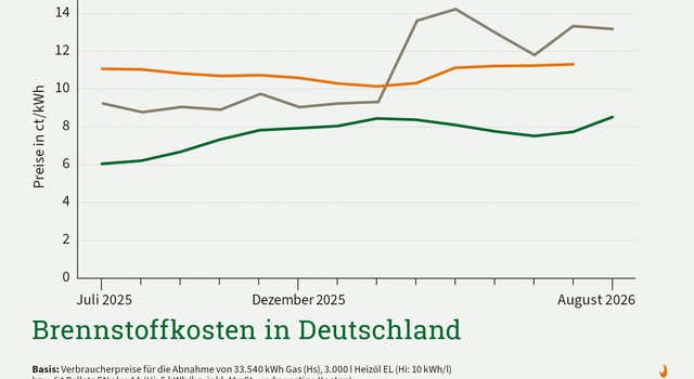 Pelletpreis im August gestiegen – Preisvorteil bleibt