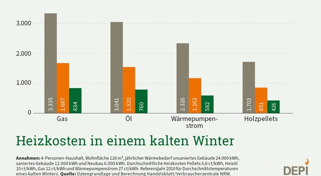 Heizkosten in einem kalten Winter (nach Brennstoff)