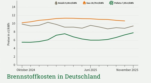 Die Grafik zeigt die Brennstoffkosten in Deutschland im Zeitraum von 13 Monaten