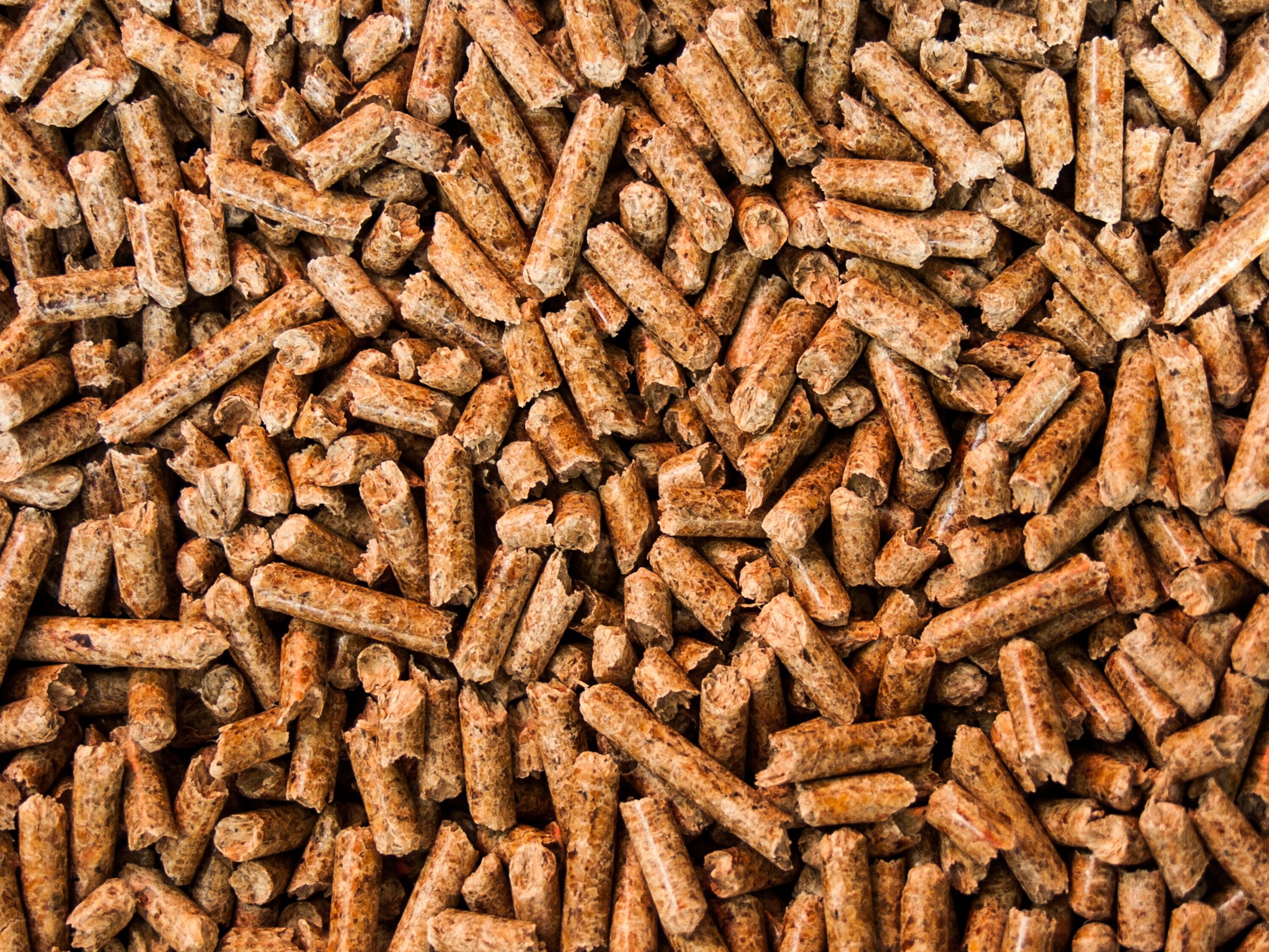 Liegende Pellets aus der Vogelperspektive.