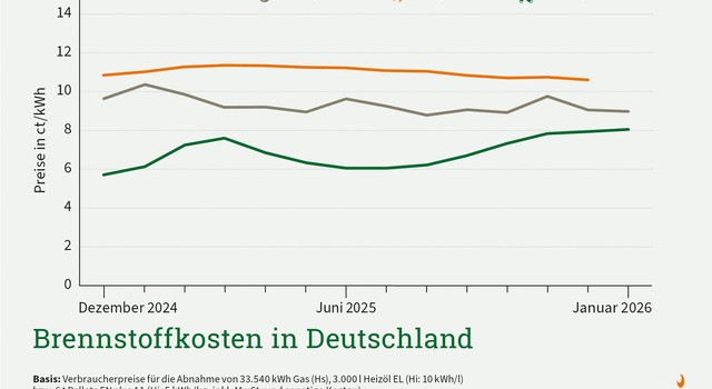 Pelletpreis im Januar nur leicht gestiegen