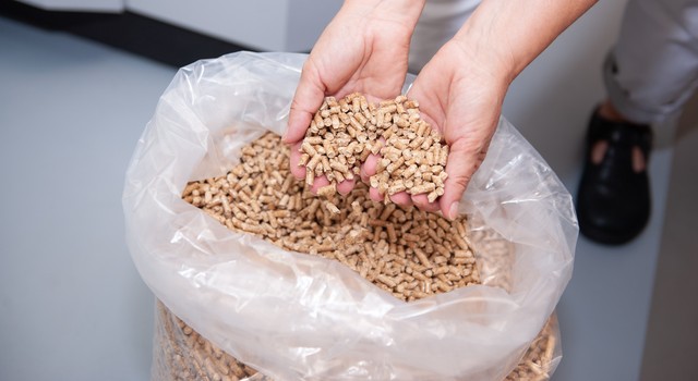 https://media.depi.de/filer_public_thumbnails/filer_public/c8/cc/c8cc84fb-6bbc-4c52-a70e-f9e7f3cde13a/zwei-hande-voller-holzpellets.jpg__640x350_q90_crop-smart_subsampling-2.jpg