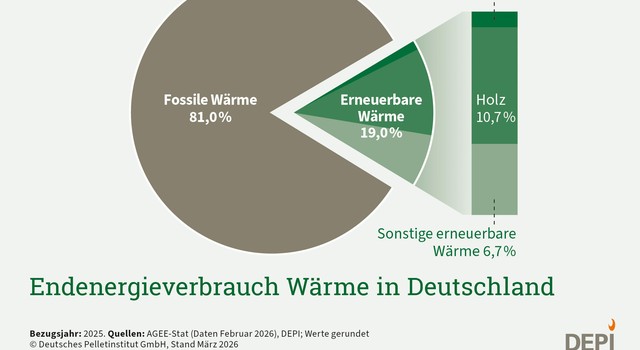 Endenergieverbrauch Wärme in Deutschland 2025