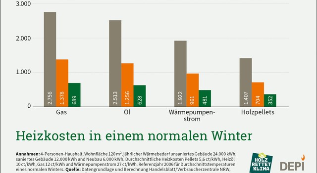 https://media.depi.de/filer_public_thumbnails/filer_public/e0/cb/e0cb4371-1539-4948-be55-2f6224b110b5/depi_heizkosten_szenario_normalerwinter_01.jpg__640x350_q90_crop-smart_subsampling-2.jpg