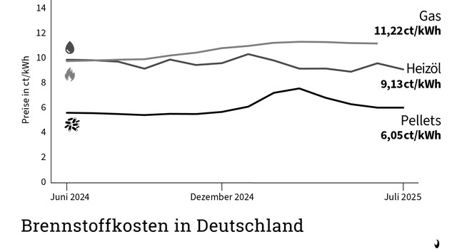 DEPI Brennstoffkosten in Deutschland (schwarz-weiß) Juli 2025