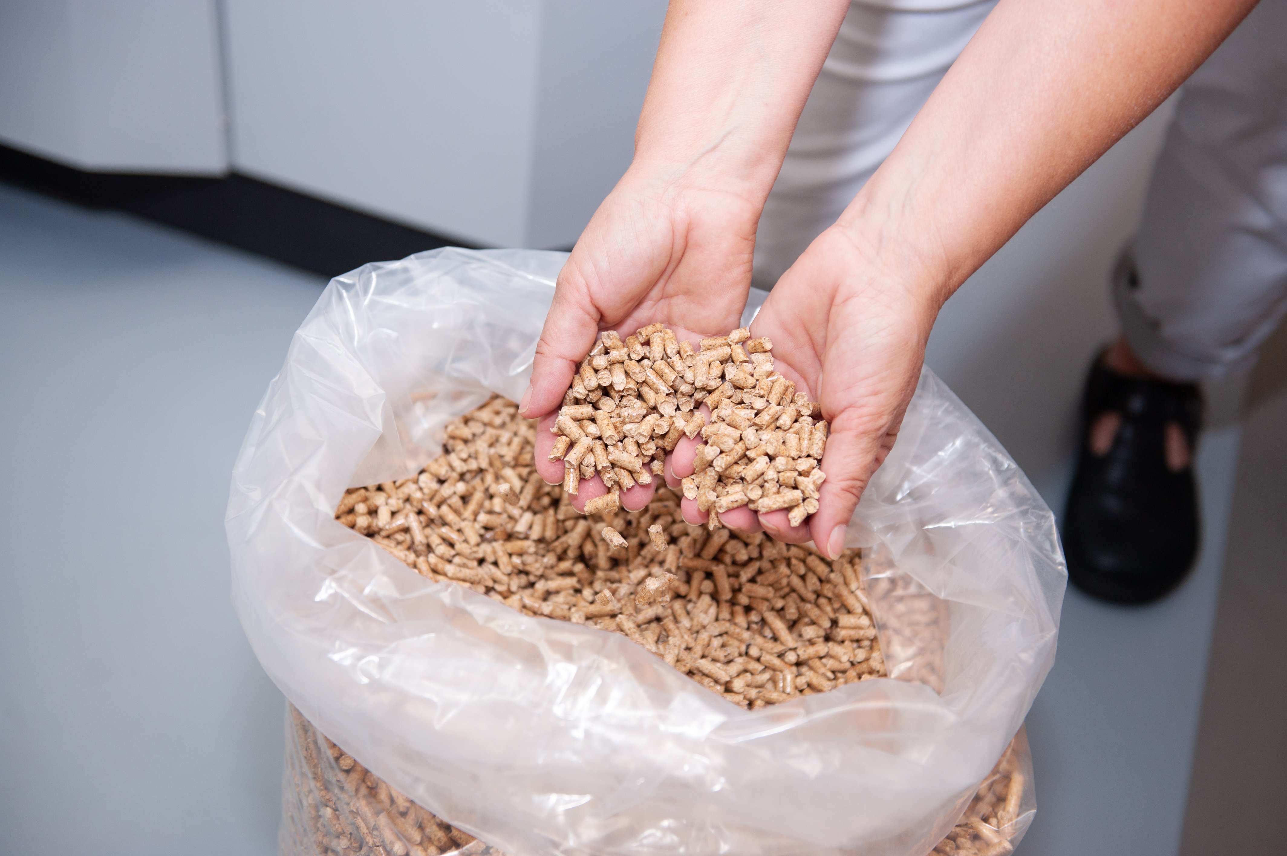 Zwei Hände nehmen Holzpellets aus einem Sack voll Pellets.