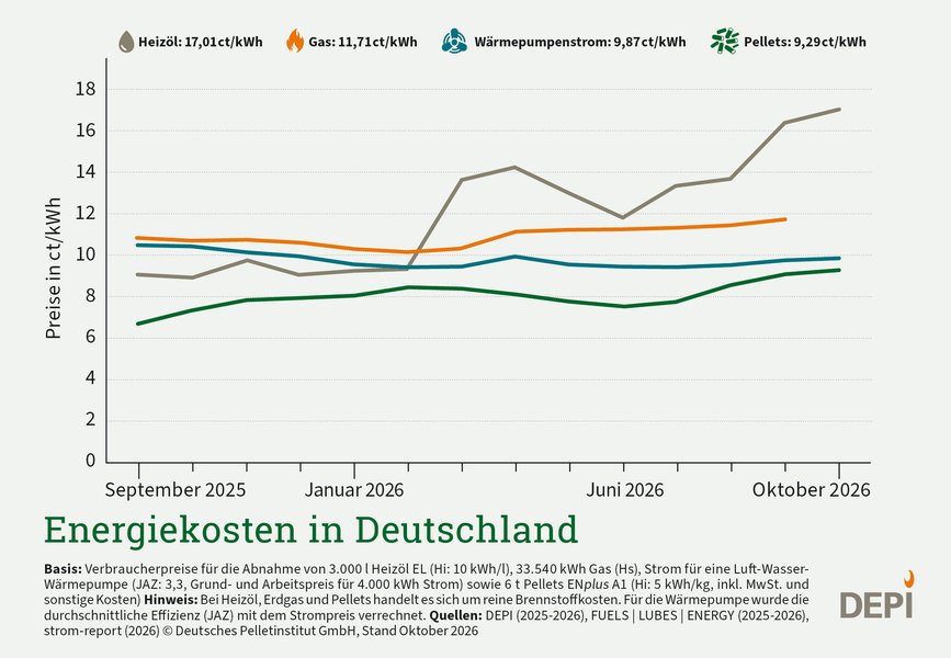 Die Grafik zeigt die Brennstoffkosten in Deutschland im Zeitraum von 13 Monaten