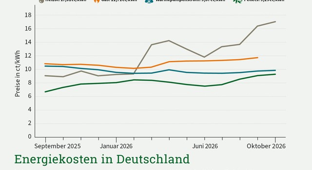 Die Grafik zeigt die Brennstoffkosten in Deutschland im Zeitraum von 13 Monaten