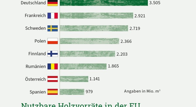 Nutzbare Holzvorräte in der EU