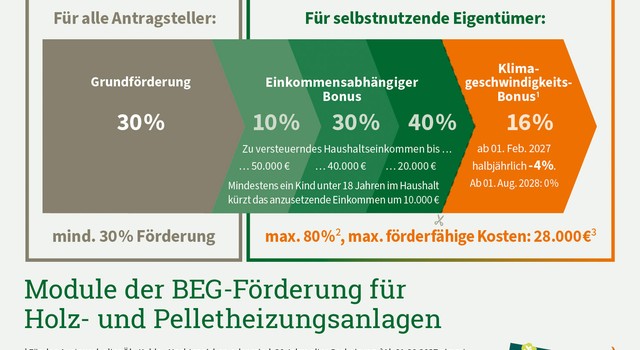 https://media.depi.de/filer_public_thumbnails/filer_public/fa/0d/fa0d08f6-9b80-4032-9c9e-8e5a23f1ceee/depi_module_der_beg-foerderung_fuer_holz_und_pelletheizungsanlagen_2026_07.jpg__640x350_q90_crop-smart_subject_location-735%2C511_subsampling-2.jpg