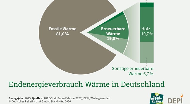 https://media.depi.de/filer_public_thumbnails/filer_public/ff/18/ff18d650-4133-4978-8eb2-62d256bac91d/depi_endenergieverbrauch_waerme_in_deutschland_anteil_2026.jpg__640x350_q90_crop-smart_subsampling-2.jpg