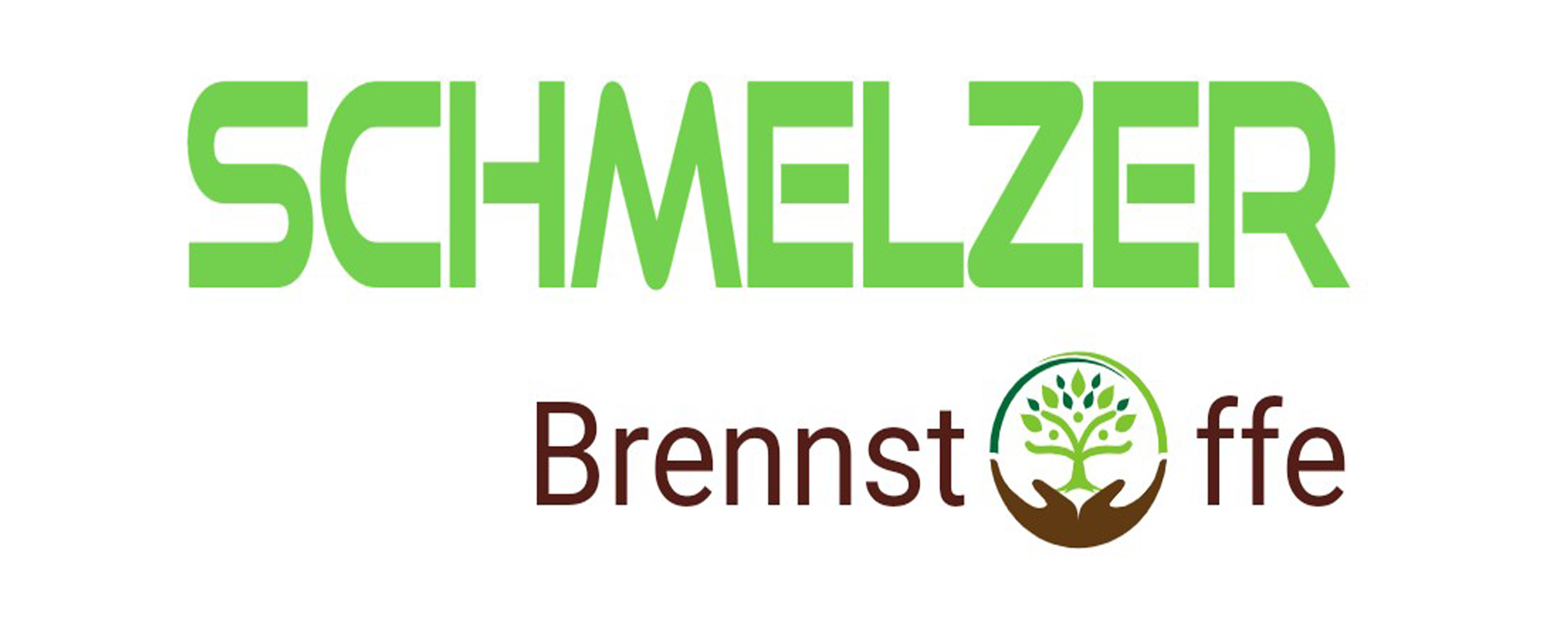 Viktor Schmelzer Logo